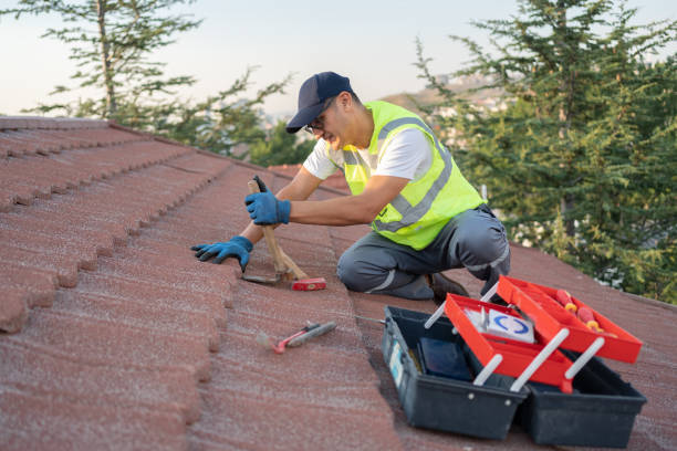 Best Roof Replacement Cost  in Blue Earth, MN