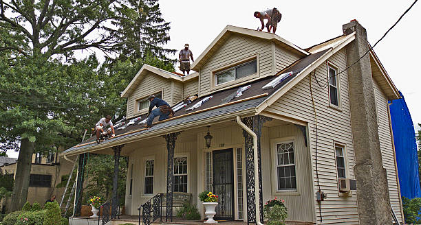 Best Roof Leak Repair  in Blue Earth, MN