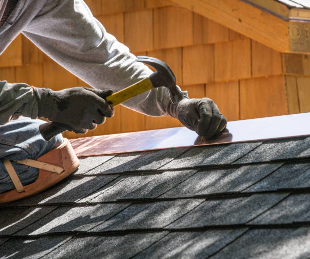 Best Flat Roof Repair Services  in Blue Earth, MN